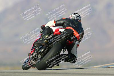media/Jan-13-2024-SoCal Trackdays (Sat) [[9c032fe5aa]]/Turn 9 Backside (110pm)/